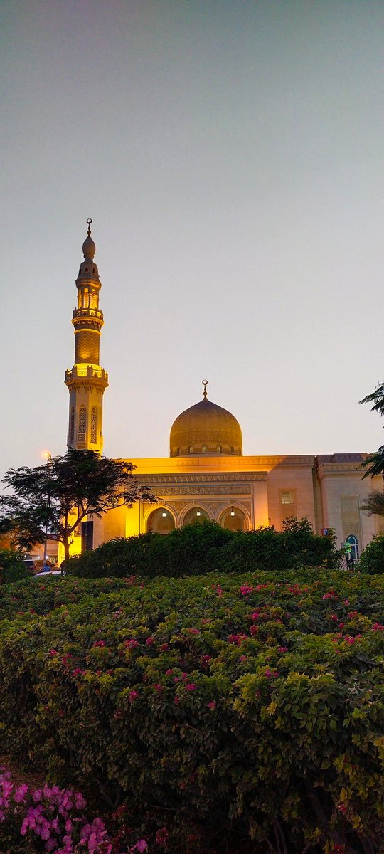 safwatmunir63's tweet photo. A sign of beauty , a beautiful Mosque in dubai, clicked by me when I was visiting albarsha.
#safwat #munir #visitdubai #dubia https://t.co/f7KSKWHFAg