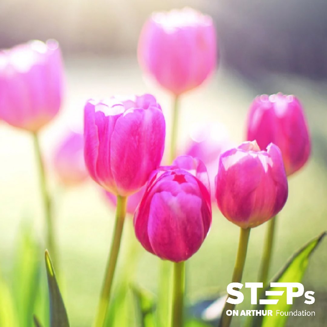 stepsonarthurfn's tweet photo. Happy Spring! 🌷

We have lots of exciting things happening this season, and we can’t wait to share them with you! 

What are you looking forward to this spring? https://t.co/mxMlSur0rz