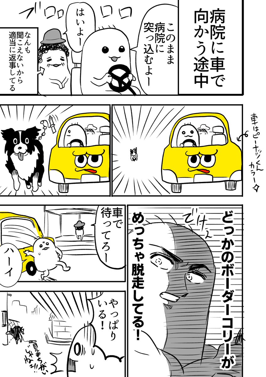 日記漫画「犬」
#日記漫画 #漫画が読めるハッシュタグ 