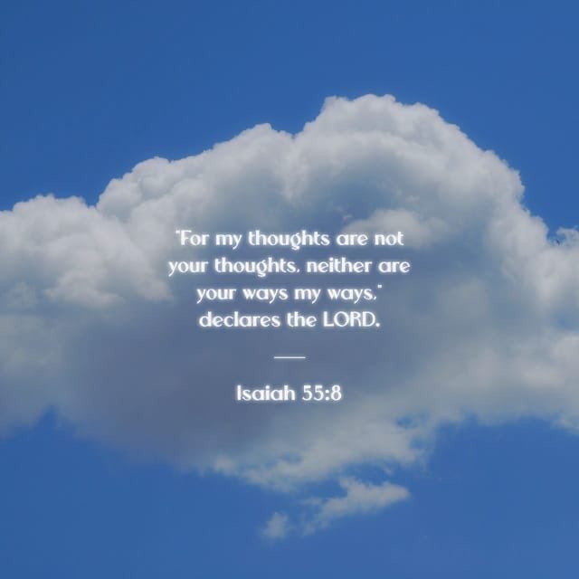 Datiya Hamlin tweet media