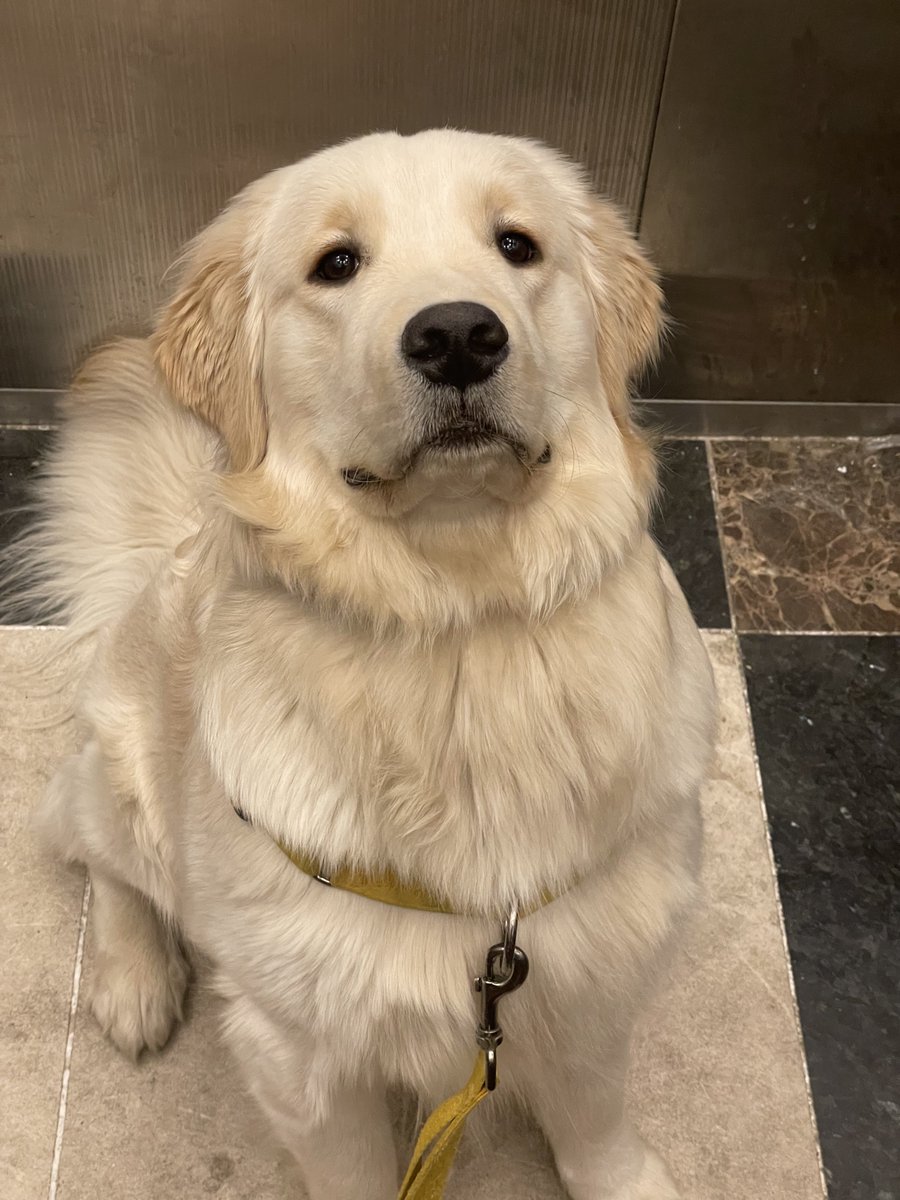 빼빼로 나도 주라는 얼굴