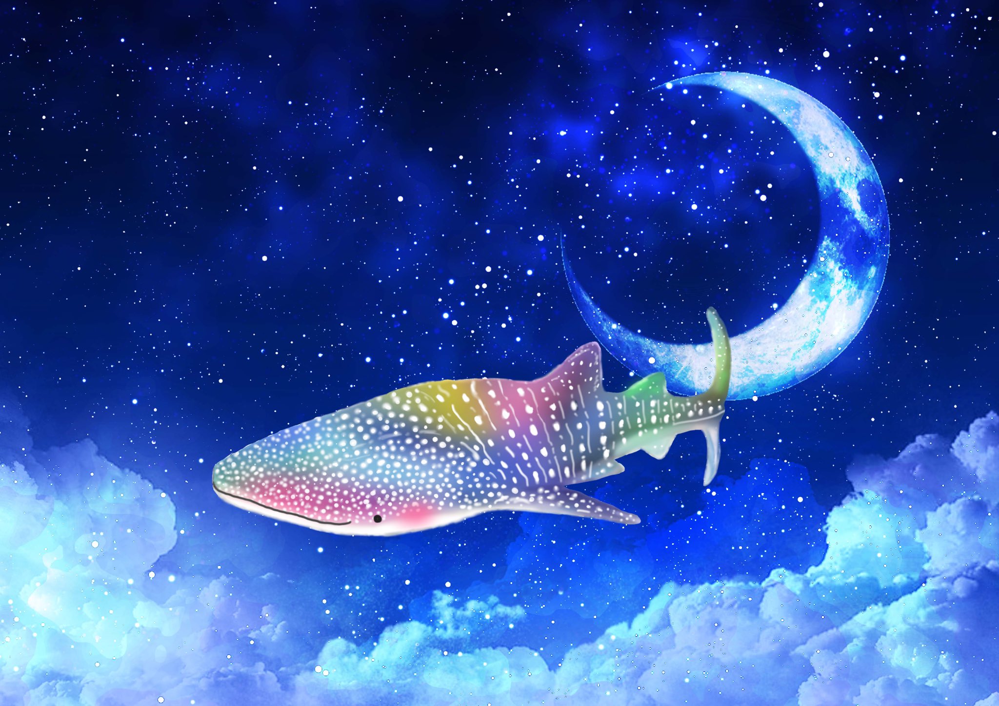 まぁ Mashiroten 海洋生物同盟 背景はアプリに入ってた物を使いました 夜空を泳ぐ虹色 ジンベイザメさん 背景も描ける様 練習します ᄇ ﻭ 虹色ジンベイザメ ジンベイザメイラスト 海洋生物同盟 Ibispaint T Co