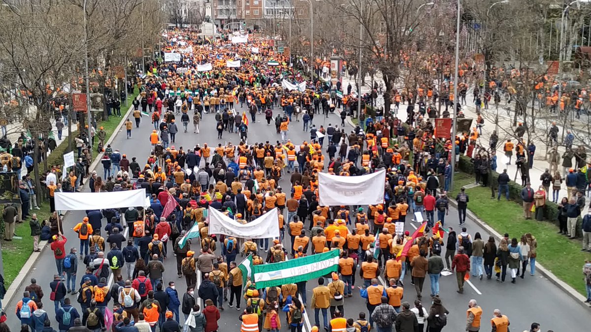 5km de marea naranja. Impresionante. Los dos lados de La Castellana. Un día histórico. Emocionante. #20mrural #caza