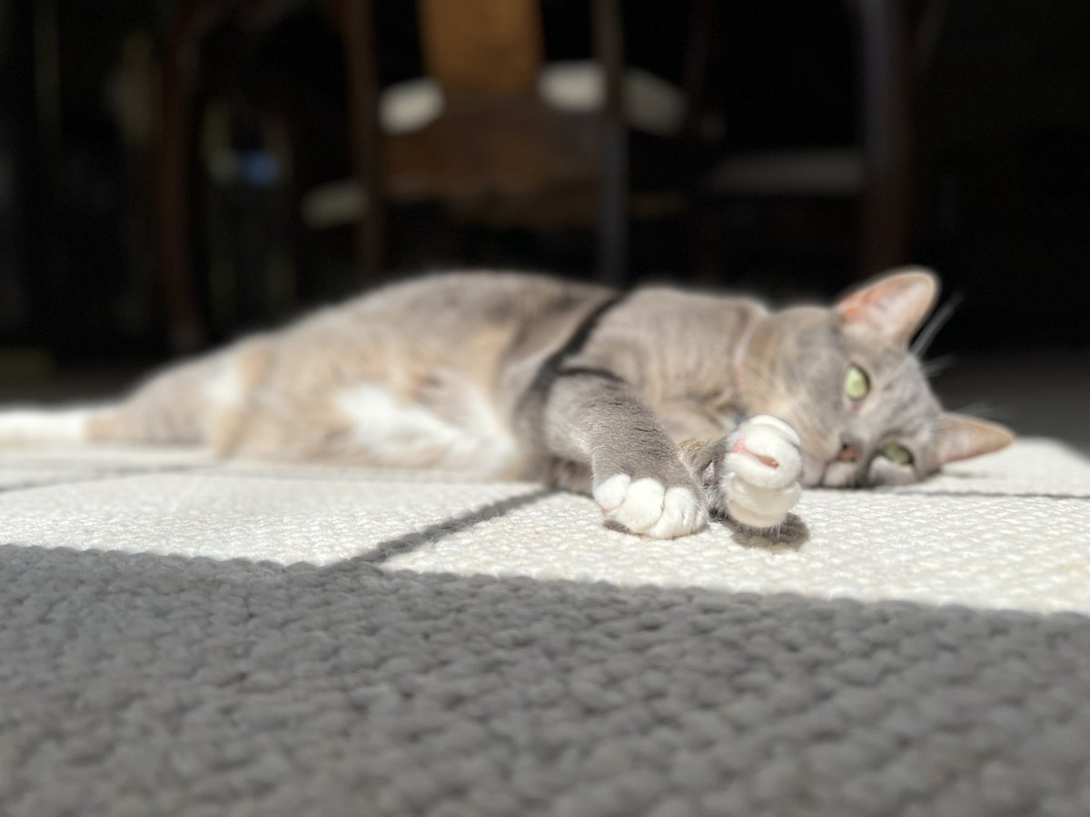 Sperlmutter53's tweet photo. #SunbathingSunday ๐๐ปโ๏ธ https://t.co/4N2iYwyi7H