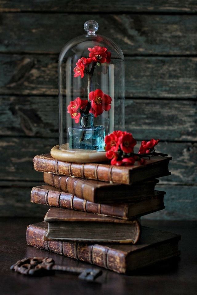 𝓐 book is like a garden,
carried in the pocket. 

~ Chinese Proverb. 

📚📖🌹📗💜

#books #reading
#KNOWLEDGE 
#ReadingOpenstheWorld 
#WritingCommunity