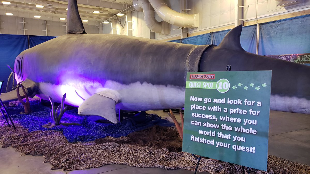 lesley4pete's tweet photo. And the final quest spot at #JurassicQuest!! I would hate to swim into him! https://t.co/A43XUa7EVr