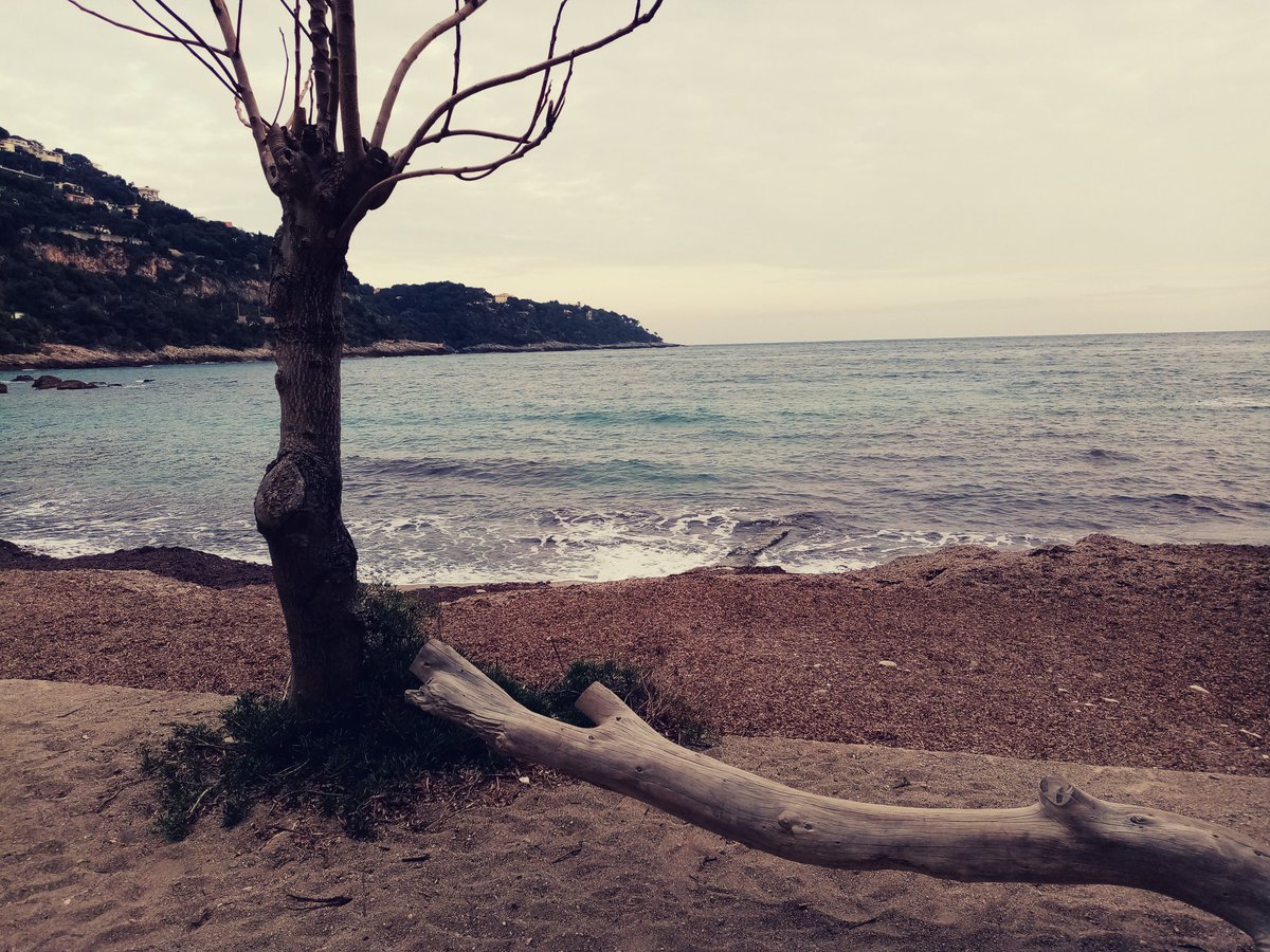 #Malinconia
#RoquebruneCapMartin #20marzo #photography