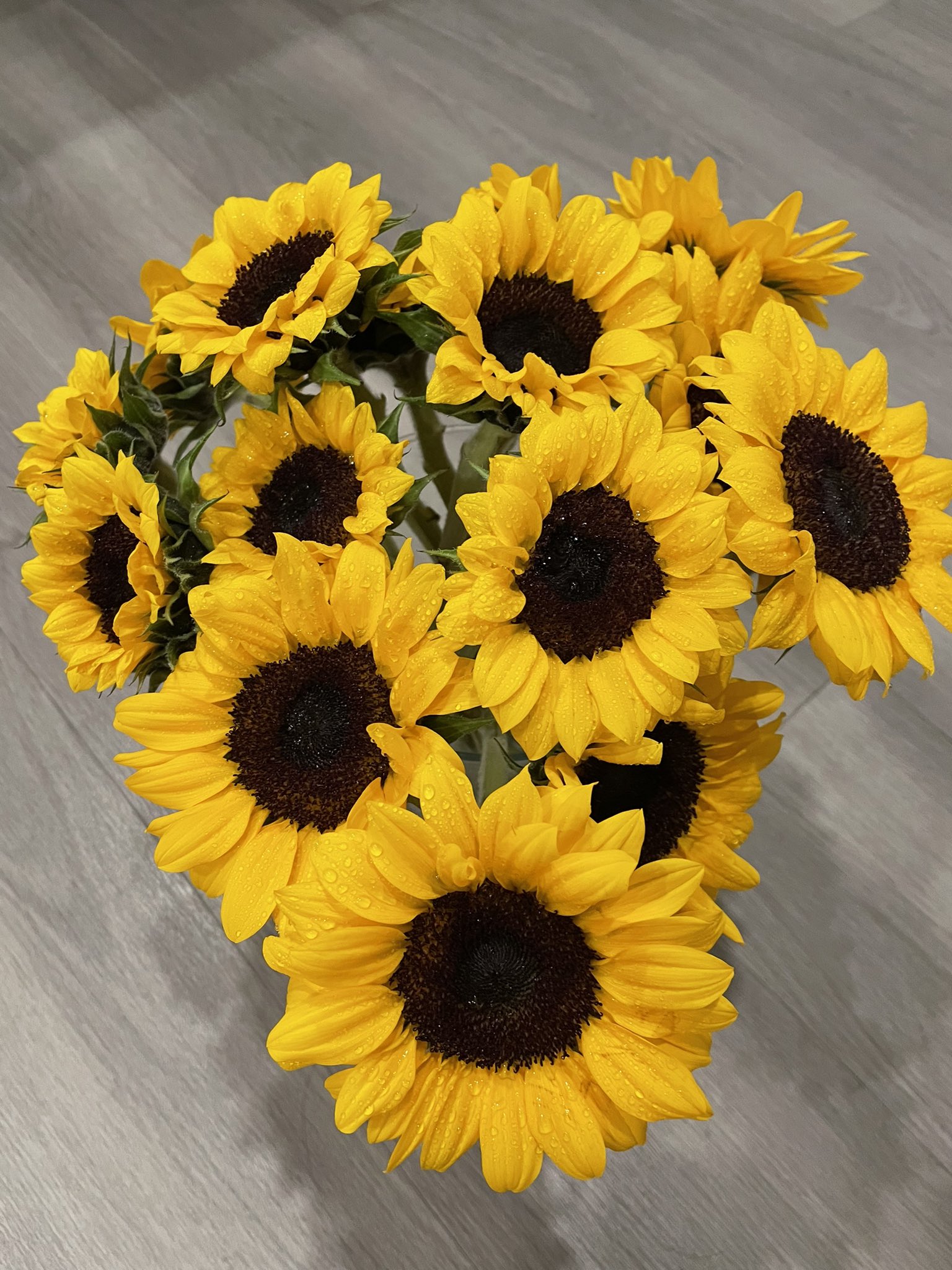 Flowers 🌺 on Twitter  Luxury flowers, Flower boxes, Trendy flowers