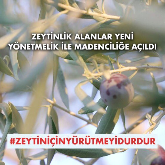 Zeytinliklerin enerji üretimi için madencilik faaliyetlerine açılmasına tüm toplum karşı çıkıyor. Maden Yönetmeliğinde yapılan yeni düzenleme zeytinlikleri enerji üretimi için bahanesiyle madenciliğe feda ediyor.

Danıştay’dan acil talebimiz #ZeytinİçinYürütmeyiDurdur