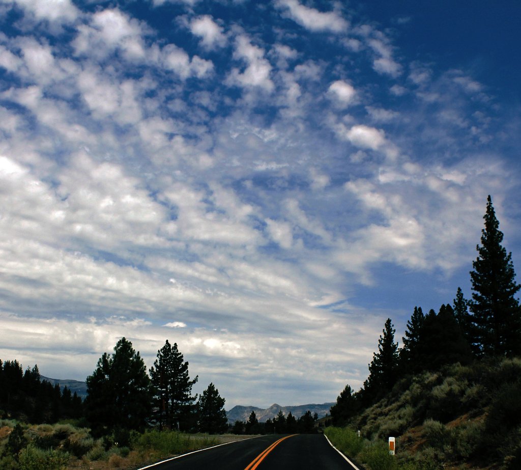 NickLikes2camp's tweet photo. One more road picture of the gorgeous Sierra's!
#roadpics #openroad #driving #mountains #mountaindriving #exploreCA #TravelCA #clouds #sky #trees https://t.co/5iIeEitknB