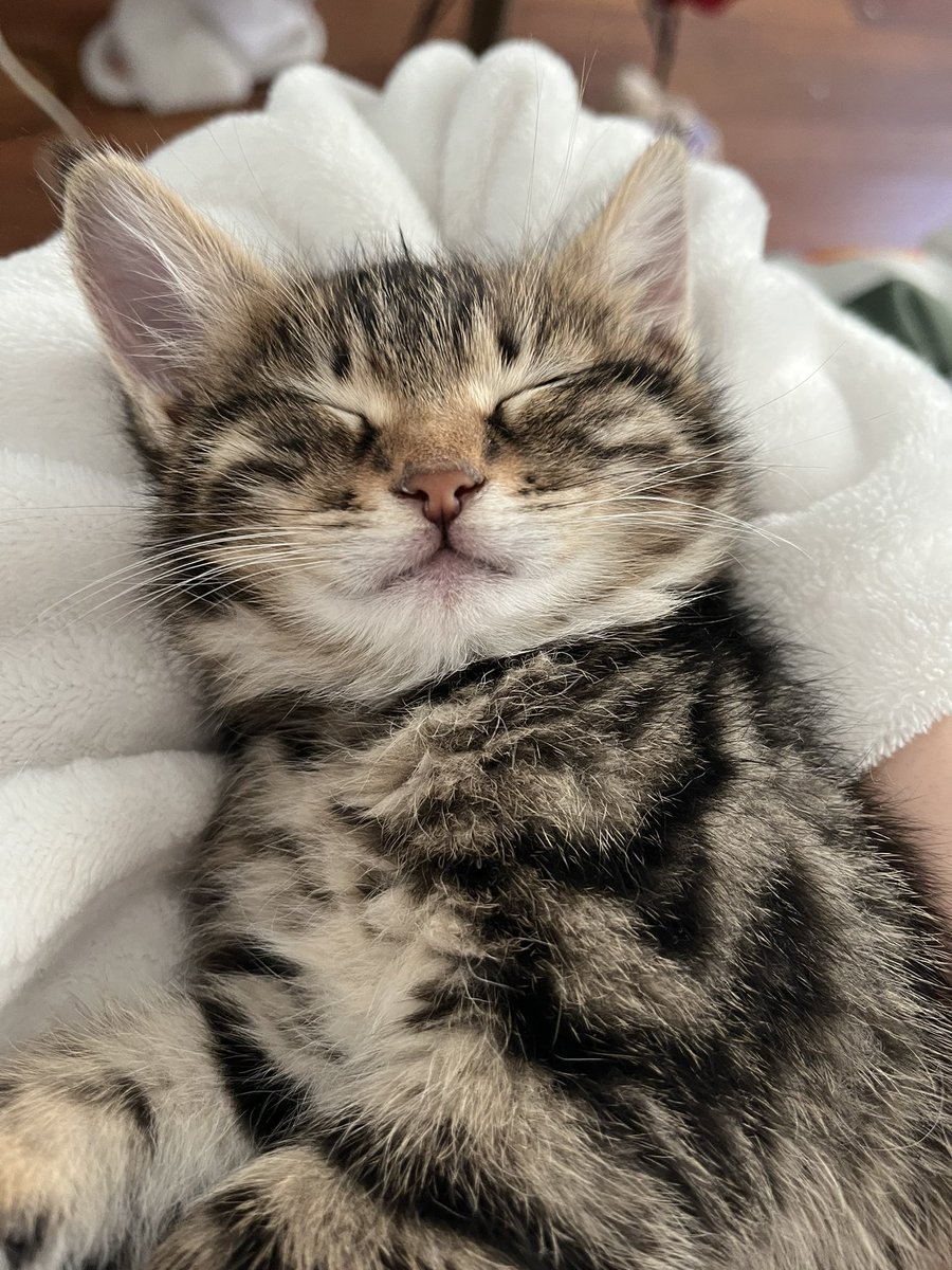 Brnumda münük kalmş kölem gelib temisler misin