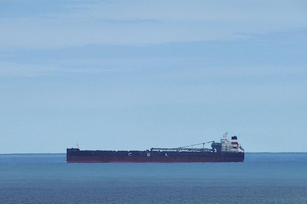 The PAUL E. MARTIN, IMO:9600970 en route to Newport News, Virginia, flying the flag of the Bahamas 🇧🇸. #CSL #CanadaSteamshipLines #PaulEMartin #SelfDischargingBulkCarrier #ShipsInPics