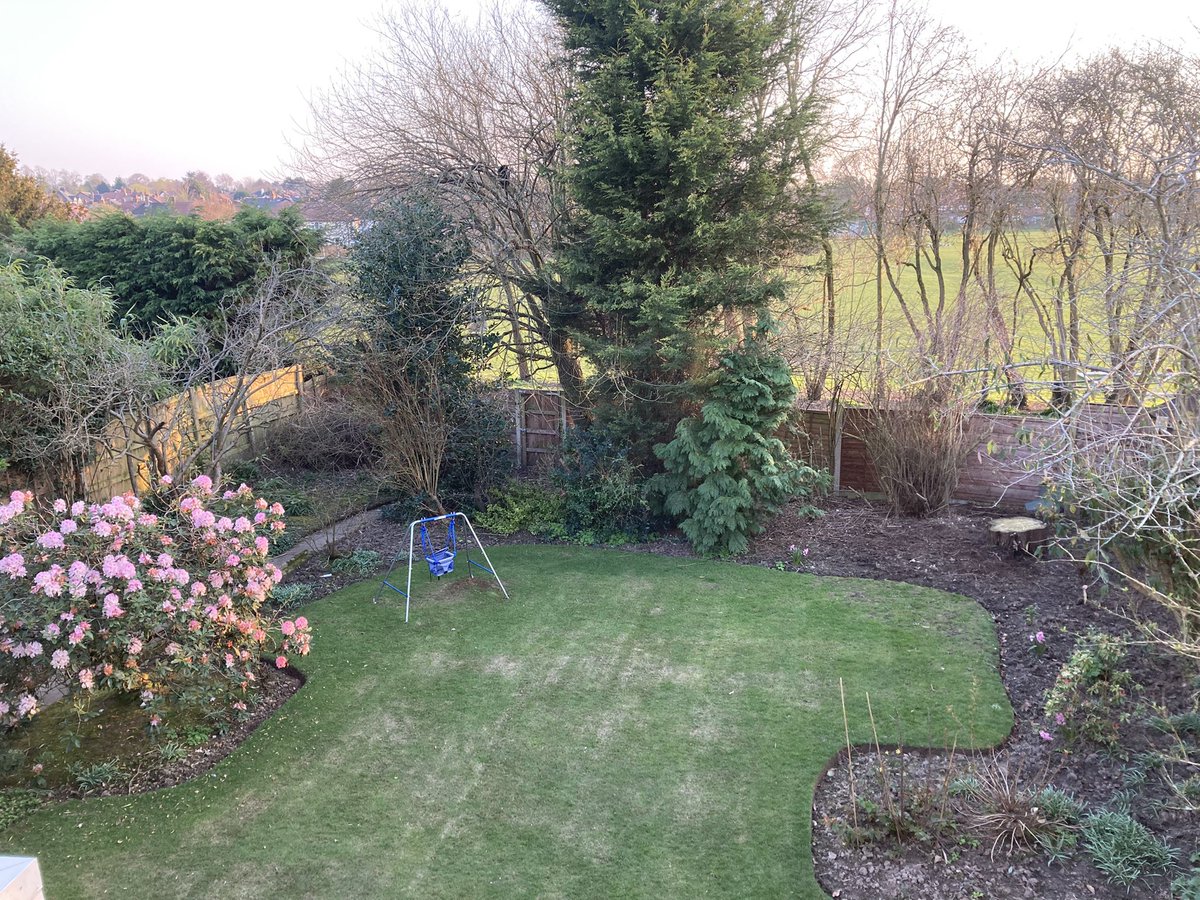 DanielDelSol's tweet image. There is no cat @Thereisnocat_