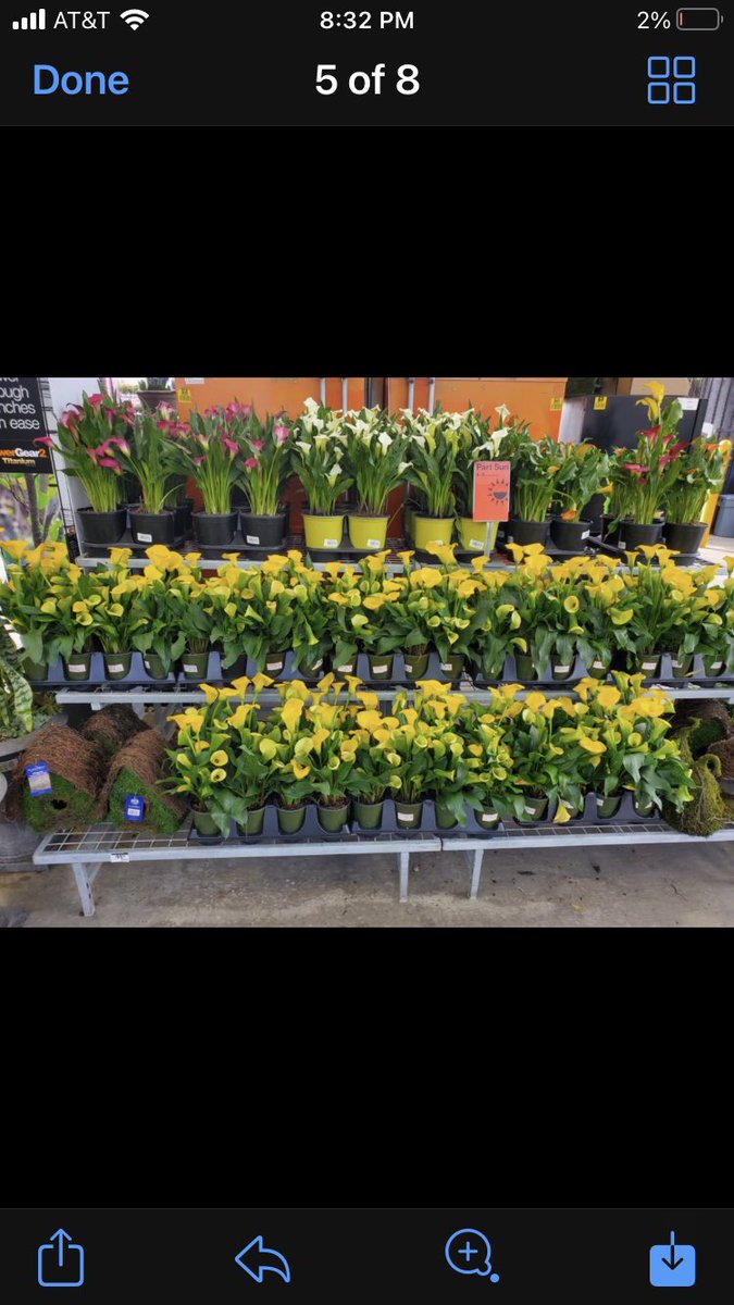 PPSKare's tweet photo. On the First Day of Spring Metrolina gave us Garden Centers full of the best #SpringEquinox #springtoit @PPSinHD https://t.co/mnZhhnaWh9