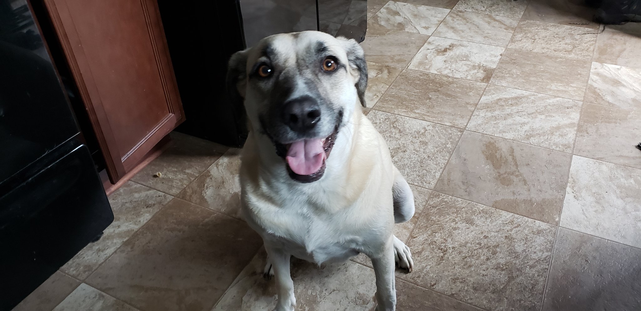  Ruby Rose says happy birthday Emily!!!      