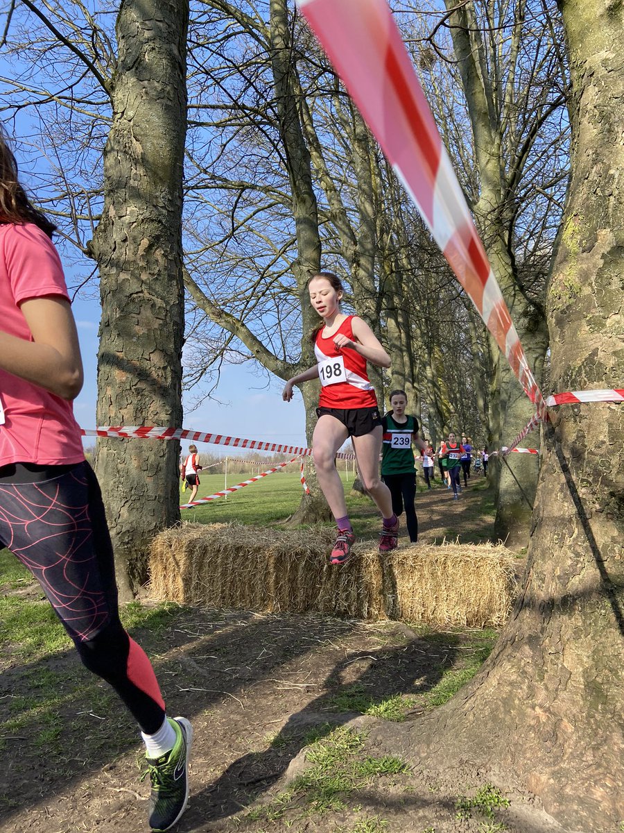 SimonHope15's tweet photo. Bang some hay bales in any race, instantly improves it. Top day’s racing in the sun with the kids. https://t.co/YIHqPSPzbn