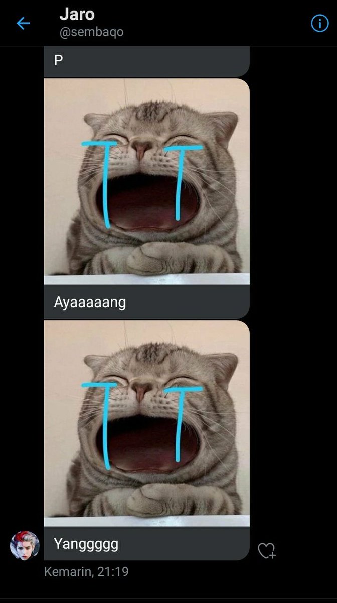 perrtaruhan's tweet photo. baru liat dmnye si jaro, wkwkwkw lucu amat...ni orang emang paling gemes, apee ye...gemesnya yaaa emang gemes banget https://t.co/VZdZ3tAQbc