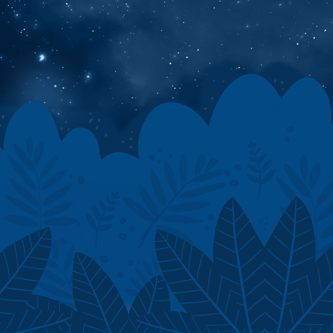 TeReoSingalong's tweet photo. When Sue first saw it she said “this will be great for our te reo Māori practice!” Can you guess what’s coming? https://t.co/Nvr1XGBV8c