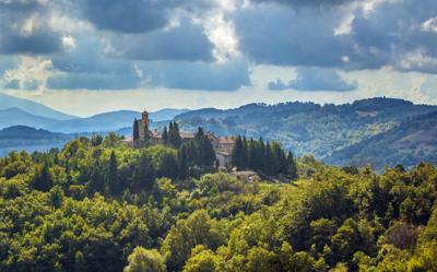 David Lucas tweet media