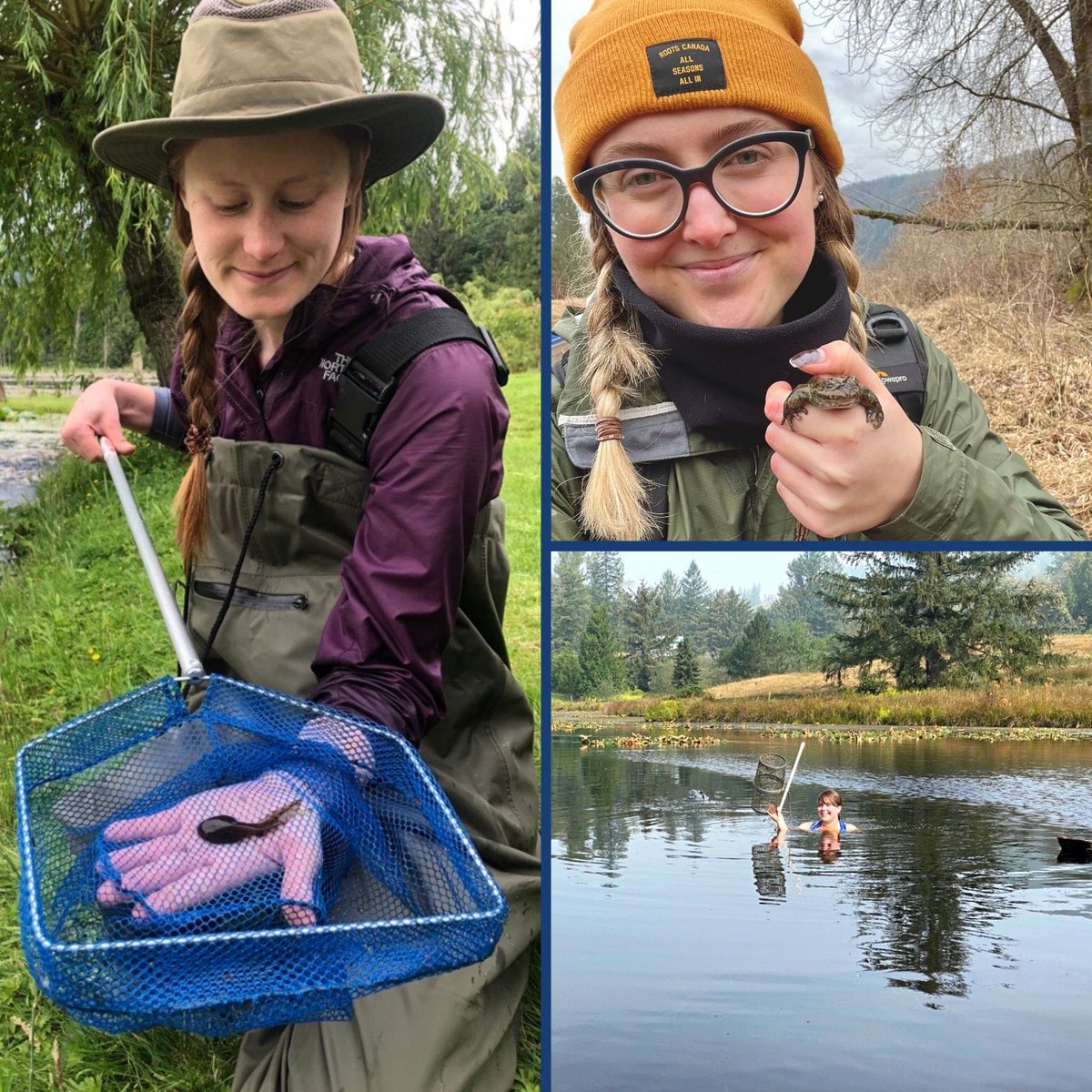 FVConservancy's tweet photo. Let's celebrate World Frog Day! 🐸🥳
How much do we love #frogs here at the FVC? 💚 You could say we're a little obsessed.
To do your part and help us research and protect these #amphibians, submit any frog photos that you have to Frog Finders: https://t.co/FyuicXEqu6 https://t.co/F1jYpdp0tB