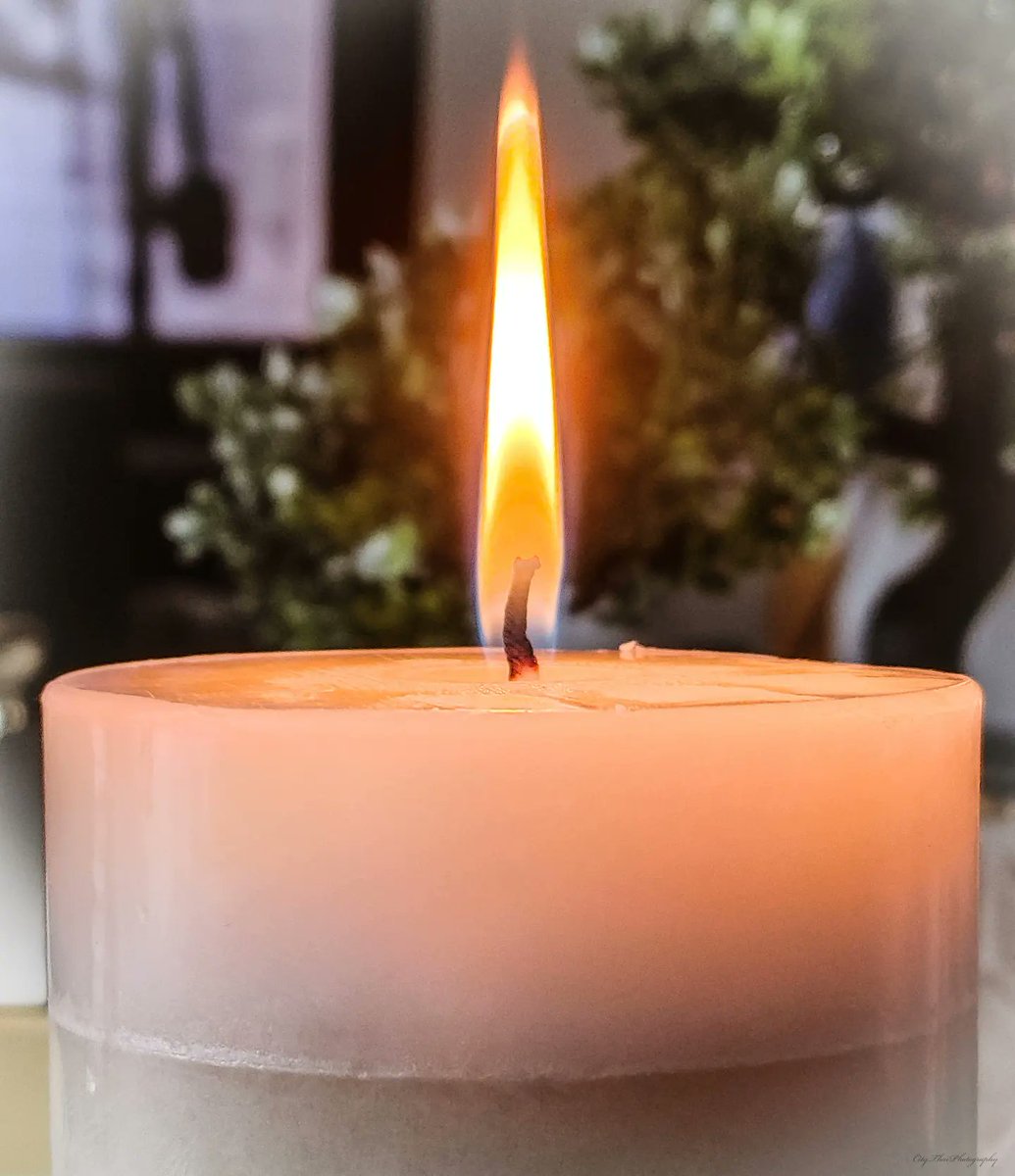 Observing the flame.  #LazySunday