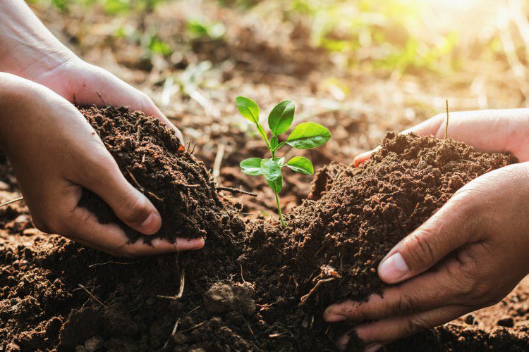 soil_now's tweet photo. Soil provides the nutrients essential for plant growth, animal life, and millions of microorganisms. However, if soil becomes unhealthy, unstable, or polluted, the life cycle stops

#SaveSoil https://t.co/RwYGjv2Fwd