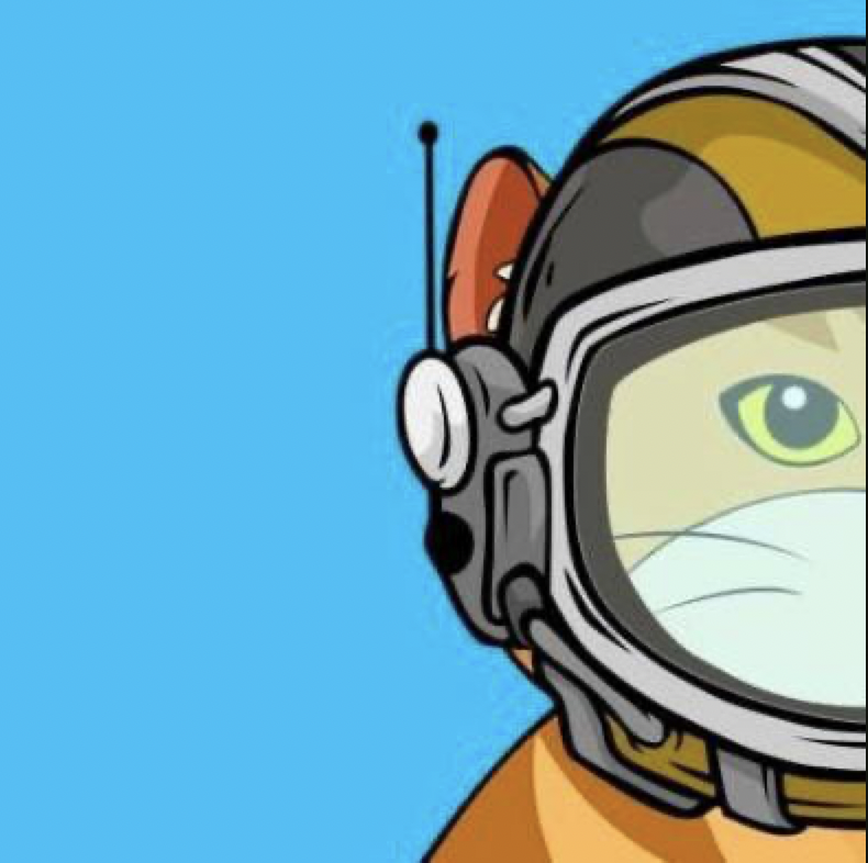 itiswhatitisfen's tweet photo. #kingcatclub COMING SOONER THAN YOU THINK A COLLECTION OF 888 RANKED BY RARITY NFT'S  10WL SPOTS TO BE WON 1.L&amp;R THIS POST 2. CHANGE PFP &amp; HEADER TO #kingcatcoin  3. FOLLOW ME AND @kingcatcoin 4.TAG 3 FRIENDS https://t.co/AIPiqgMBtV https://t.co/aqgtjO6wKt