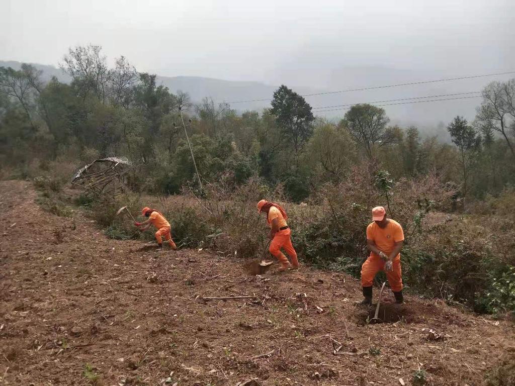 ChongaTshering's tweet photo. Millions of fruit tree plantation project in Bhutan. Its our HM's project to help the people of Bhutan individually. Kadriche mewang chog. https://t.co/zjXcxdfyfm