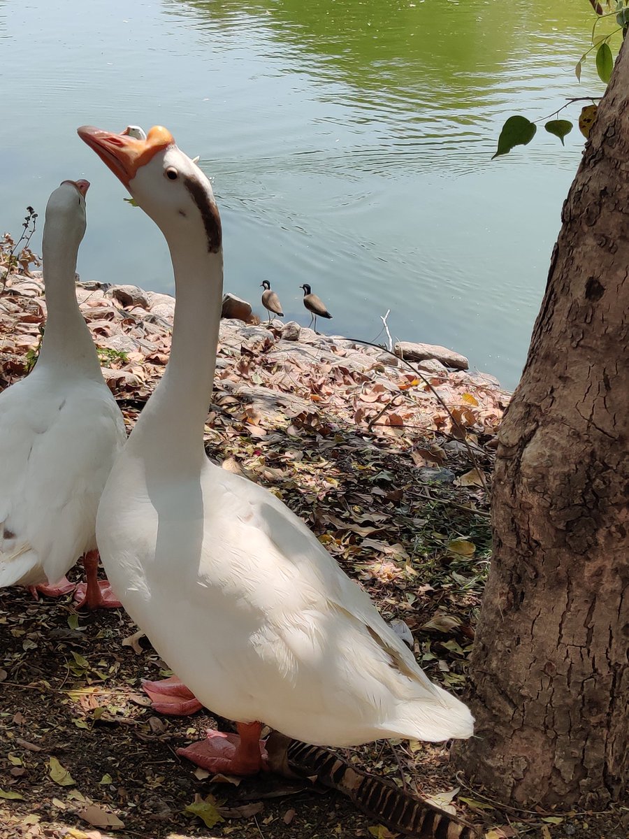 resham_26's tweet photo. He literally said ," can you please grant us some privacy, bit*h" https://t.co/GWb42WZV2s