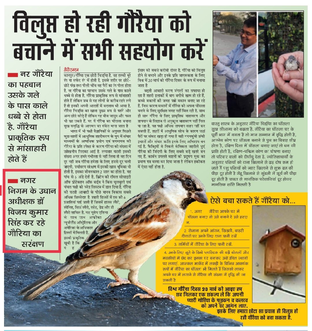 DrVijayKumarS20's tweet photo. विश्व गौरैया दिवस (20 मार्च) की हार्दिक शुभकामनाएं
#WorldSparrowDay #moeffcc #savesparrows #SaveBirds https://t.co/4RLZ6bAjnX