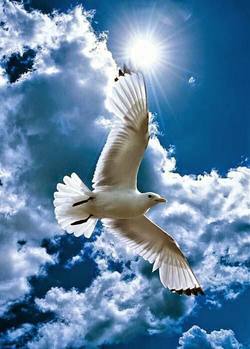 Mavi 💙🌶 NO DM! 🕊 tweet media