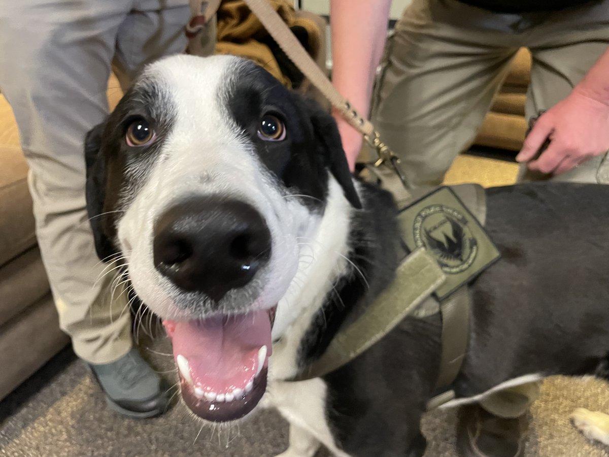 boulderpolice's tweet image. We&apos;d like to thank Kris Miller who came by BPD this week to show her support &amp;amp; introduce her puppy that she named Talley in honor of fallen BPD Officer Eric Talley. We loved meeting you both and that one of the ways Eric&apos;s memory lives on is through Talley #BoulderStrong