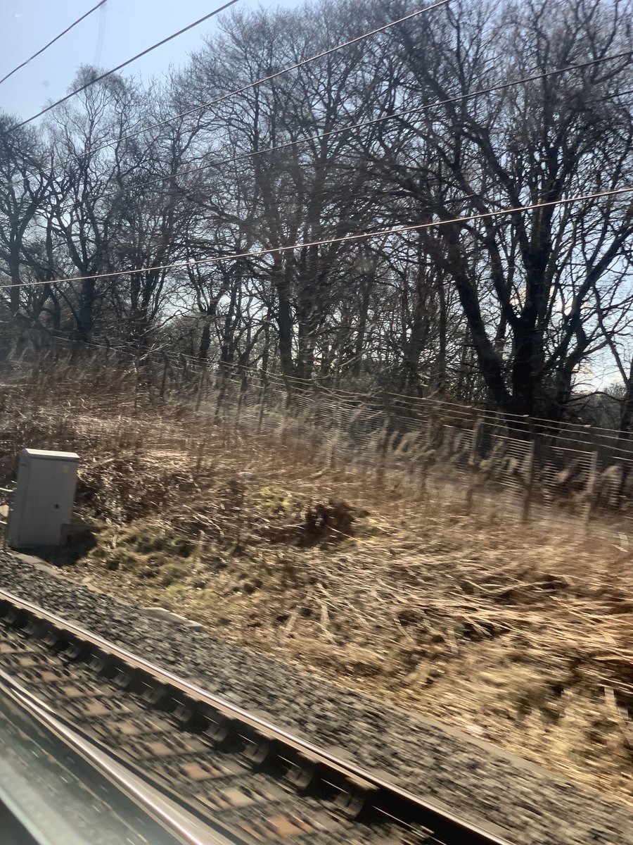 zeinalmaha94's tweet photo. Heading down to #London to attend the @ThePIENews #PIELive22! Thank you to @AvantiWestCoast for the wonderful #PassangerAssist at #Glasgow Central! Always a pleasure traveling with you 😊 https://t.co/yVnNaov8U0