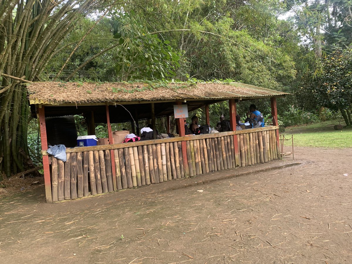 BookItBuyIt's tweet photo. Location: Thatch Hill River Park, St. Ann.
#Rental 🚗 
#flight ✈ 
#Hotel 🏨 
#Cruise 🚢 
#travelgram #wanderlust #makethisgoviral #adventure #explore #jetlife #travelblogger #travelphotography #exploretocreate #welivetoexplore #tourist #jet #jetphotos #theworldupclose #lust https://t.co/1o6YdStEZj