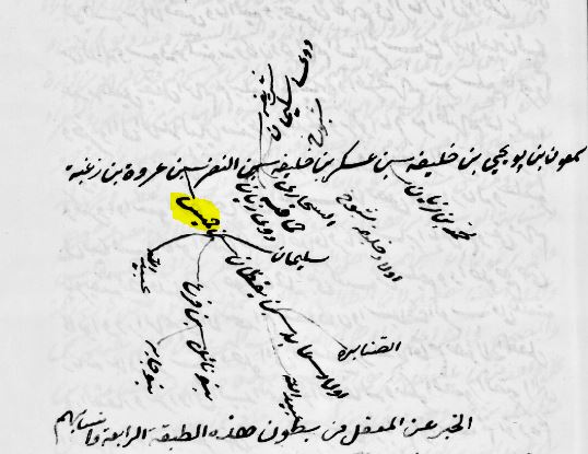 مشروع بني هلال الجيني tweet media