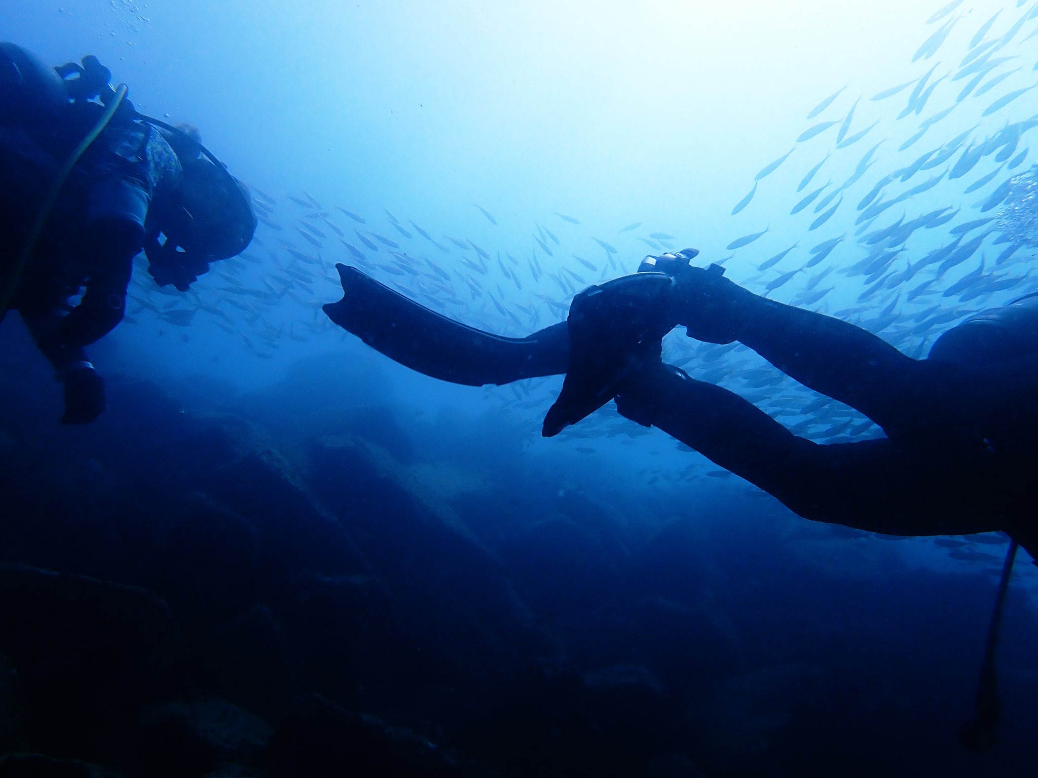 高力優 深いところに潜ったあとは 高いところに登るんです スキューバダイビング ボルダリング T Co Xsgspy4fjm Twitter