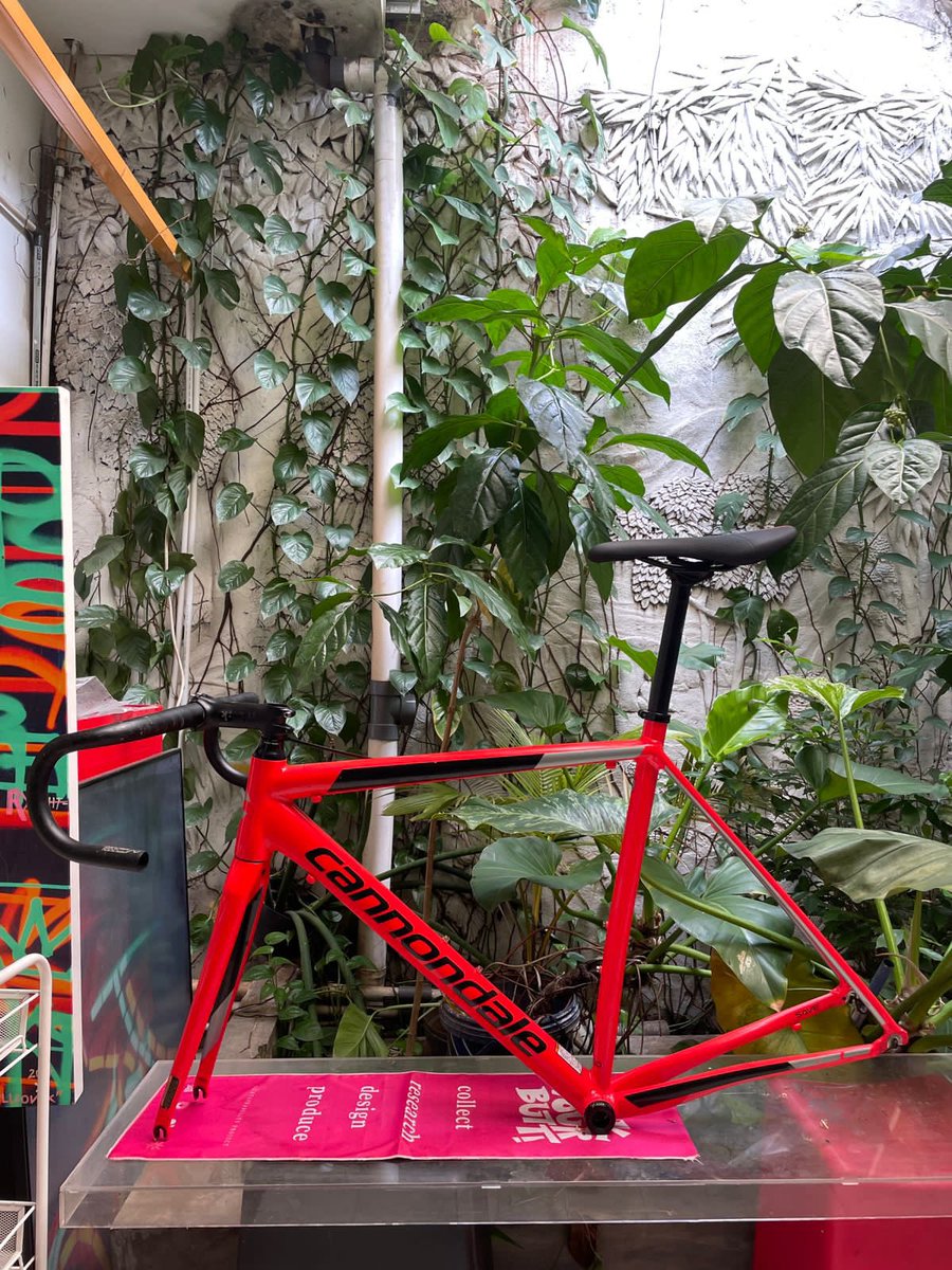 aryaadhi's tweet photo. #fnfjb 

Cannondale Caad Optimo sz 54
BB Cbear
Barset fizik
Seatpost
Saddle
Crank FSA
Bottle cage velocity

15 jt angkut semua

WA 081310558057 https://t.co/pXnCSM1sA7