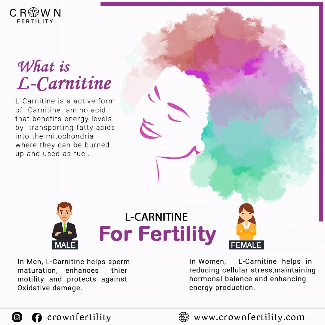 Crownfertility L Carnitine Benefits For Both Men Amp Women T Co Dzgwoy9ml8 Lcarnatine Fertility Uae Uaedoctors Uaenutrition Nutritioncoach Fertilitynutrition Fertilitysupplements Fertilitynutritionist T Co