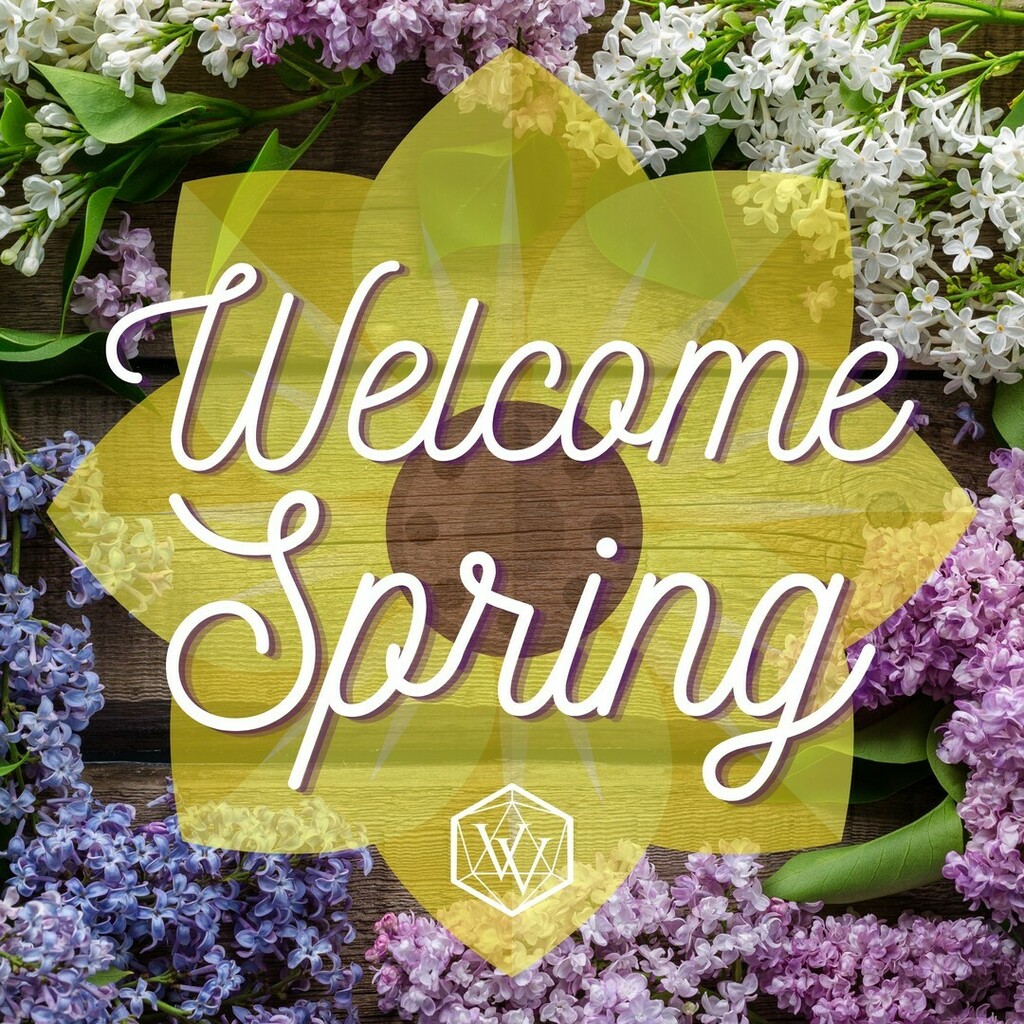 Feeling the ✨🌸Druidic Vibes🌸✨today!
Happy Spring, Variants! ☔️
.
.
.
#druid #springequinox #spring #welcomespring #happyspring #seasons #vv #variantventures #springtime instagr.am/p/CbVAV3VBTq7/