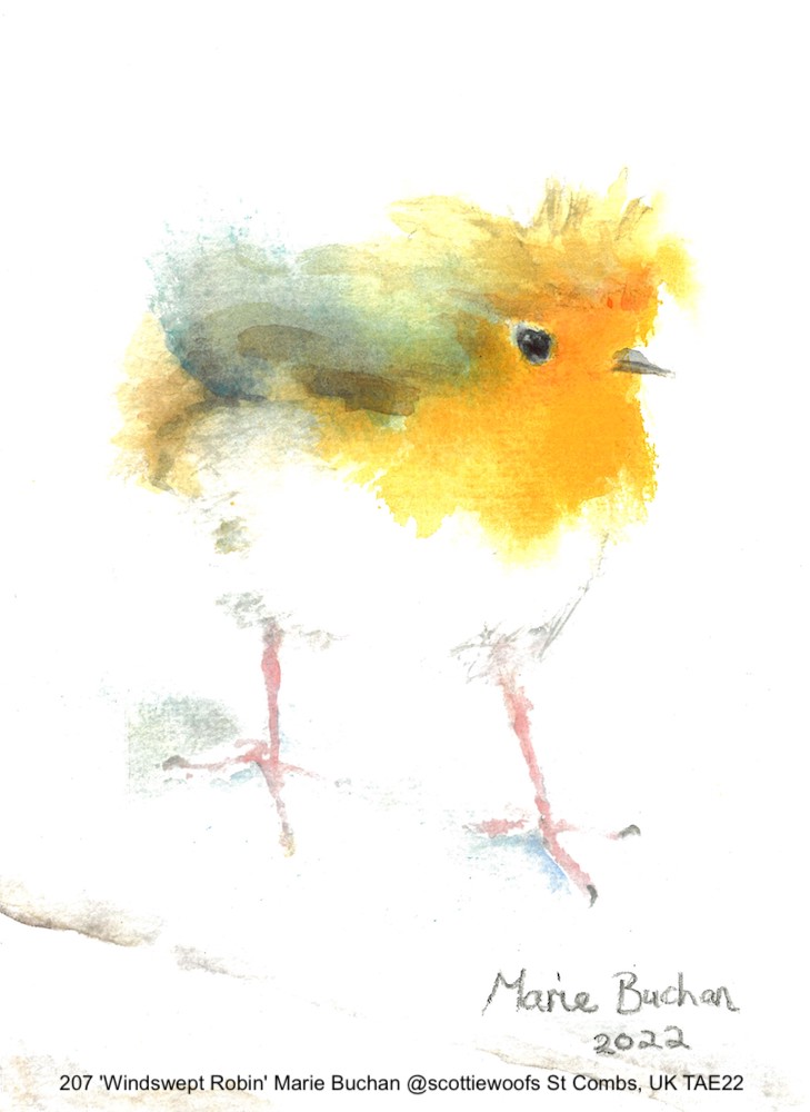 'Windswept Robin' Marie Buchan <a href="/scottiewoofs/">Marie Buchan Artist</a> (St Combs, UK) 

So sweet! Many thanks Marie for this gorgeous watercolour! Great to have your support again this year!

#TAE22 Art Fundraiser for The <a href="/Encephalitis/">Encephalitis International</a> Society.
Art Sale: 25 June in #YORK &amp; online

#Encephalitis #BrainArt