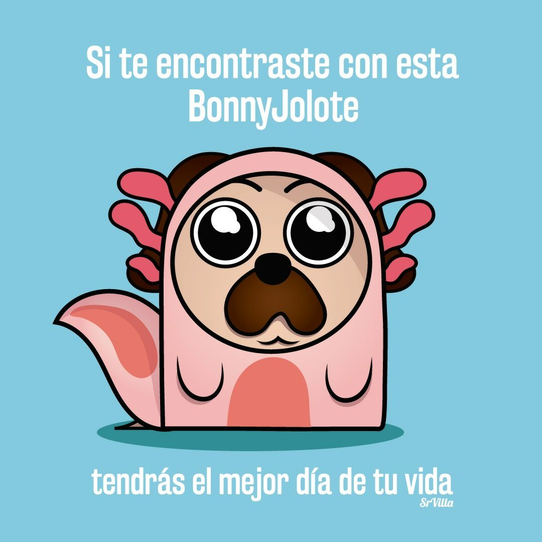 156Notas's tweet photo. Tengan buen domingo y comprenme un sushi ✨✨✨✨ #pug #DogLover #perros #ajolote #ilustracion #ilustration #elvikingokawaii https://t.co/7MxqFgzGtJ