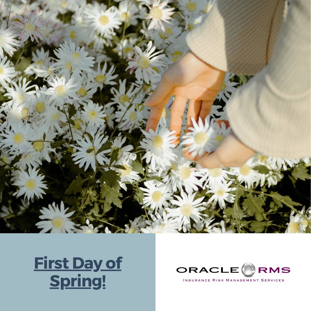 OracleRMS's tweet image. Spring is here and we&apos;re ready for warmer &amp;amp; brighter days ahead. #OracleRMS