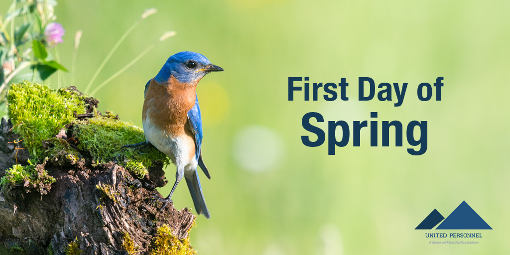 It’s officially the First Day of Spring! What do you look forward to most about this season? 🌷

#spring #spring2022 #happyspring #springtime #springflowers #springfever #springbreak