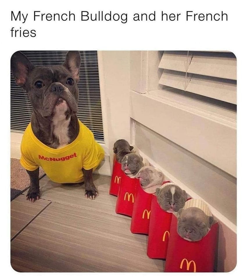 😂😂😂😂