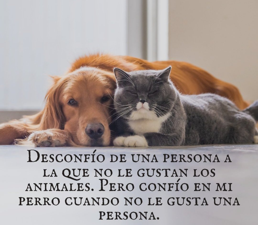 pipa_lady's tweet photo. https://t.co/NYC17l9q08
