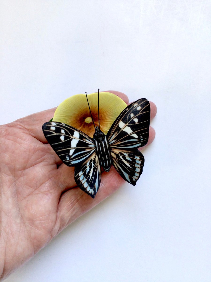 jarmgirl's tweet photo. Thanks for the kind words! ★★★★★ "Received in perfect condition! Mine broke a few years ago so now I have the complete set again. It arrived in just a few days. Thank you!" Mary F. https://t.co/YoPfWrJqiu #etsy #yellow #black #blackblueyellow #colorfulbutterfly #yellow https://t.co/oRIQQ29HYH
