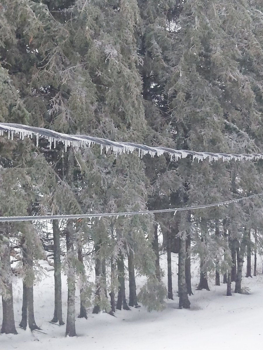 TheresaOHara3's tweet photo. Ice on the wire
#FreezingRainWarning @environmentca @CBCNB https://t.co/zvh0LRH2mB
