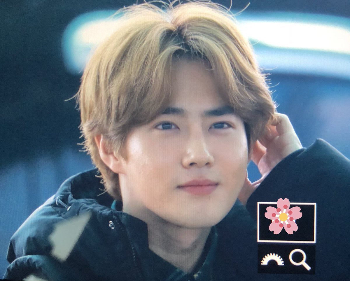 dailykjm's tweet photo. soft and fluffy junmyeon https://t.co/UF5BnYR1Mw