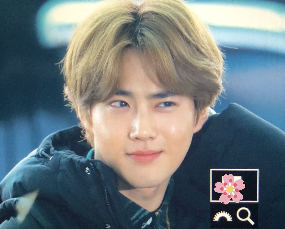 on-twitter-soft-and-fluffy-junmyeon-https-t-co-uf5bnyr1mw-twitter