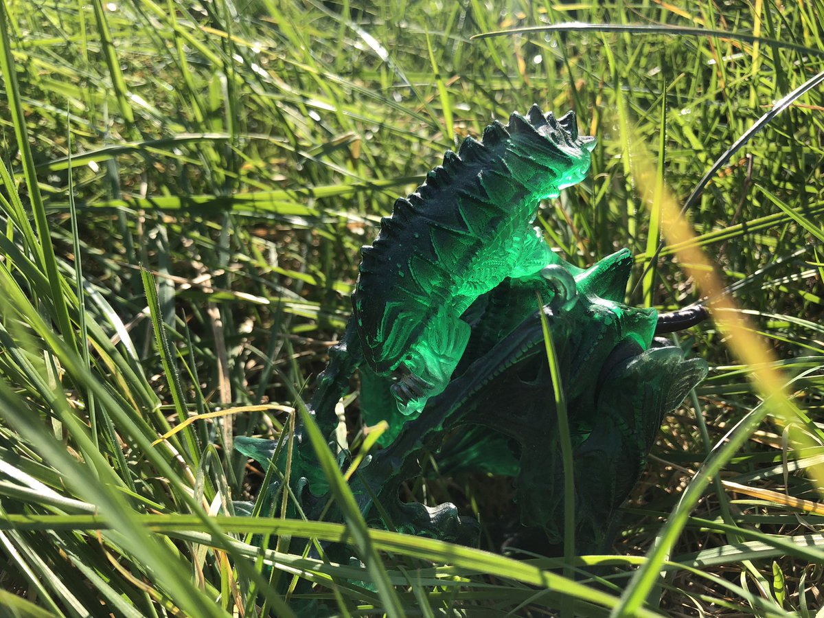 SupernerdsT's tweet photo. Tried my hand at a bit of toy photography today with the kenner aliens and predator toys 

#aliens #predator #kenneraliens #kennerpredator #retrotoys #photography #spacemarines https://t.co/SzwPqDZBhb